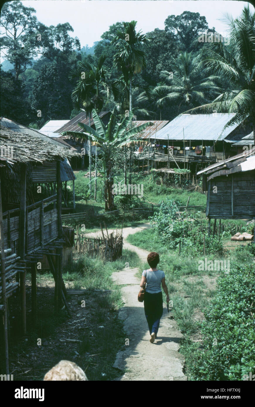 Settlement of Dayak people, Longhouses; Kuching area, Sarawak, Malaysia.  Many Dayak people believe in nature spirits, therefore spirit offerings in the woods. Stock Photo
