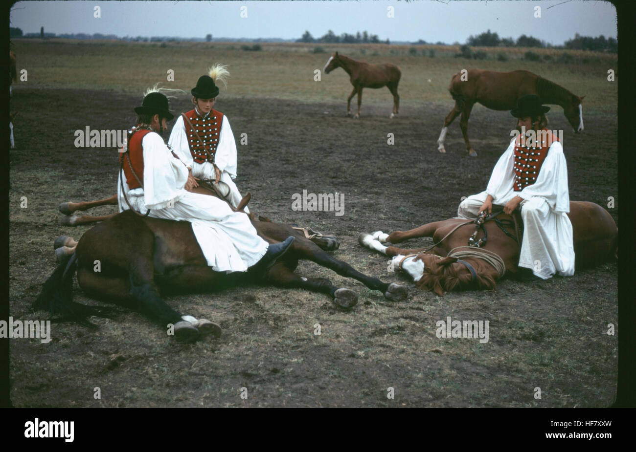 Horsemen of the Puszta in traditional dress performing equestrian arts traditional to the horse culture of the Hungarian steppes; Hungary. Stock Photo