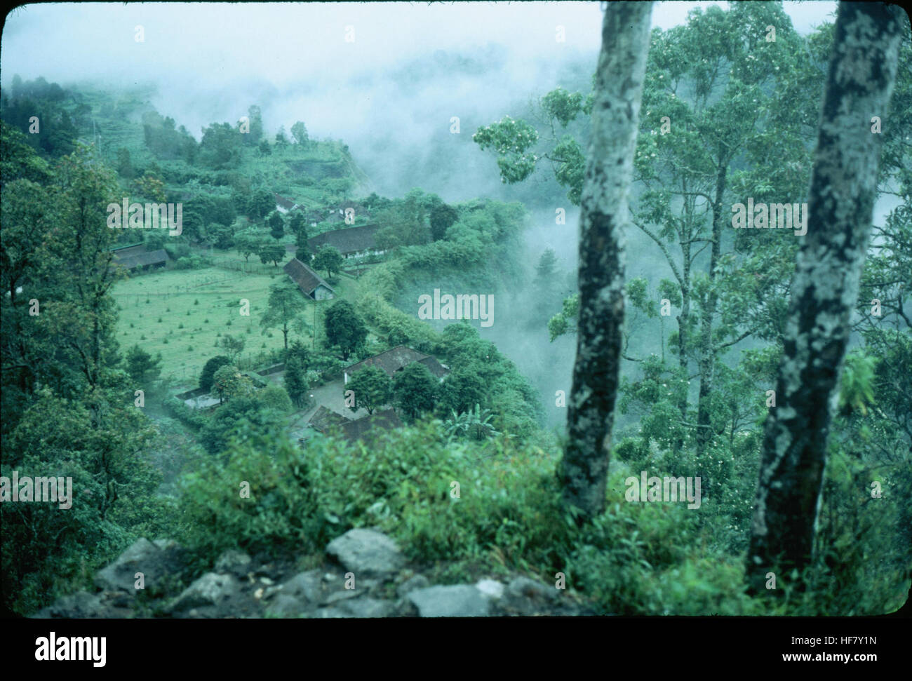 View upon the valley at the foot of the Plawangan volcano; near Jogjakarta, Java, Indonesia.  Rice production area. Stock Photo