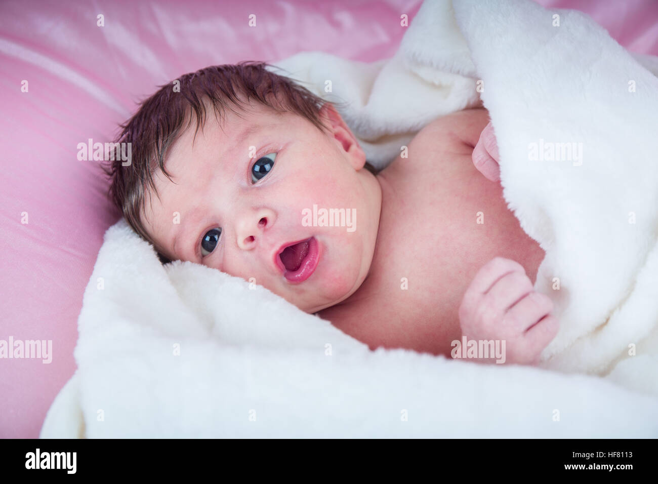 Twelve day old baby girl wrapped in a blanket Stock Photo