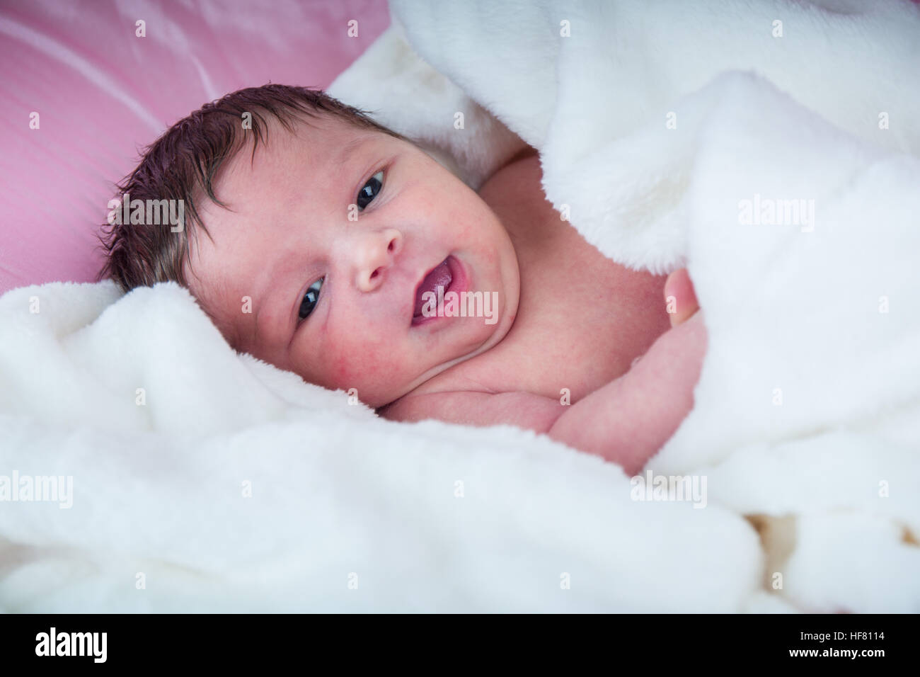 Twelve day old baby girl wrapped in a blanket Stock Photo