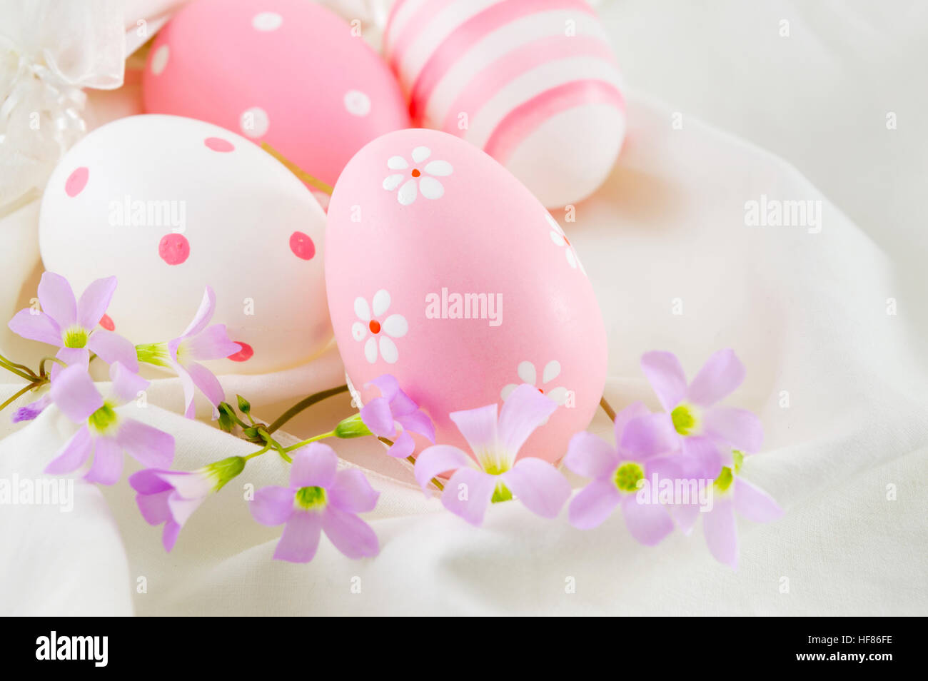 Painted Easter eggs and purple spring flowers Stock Photo - Alamy