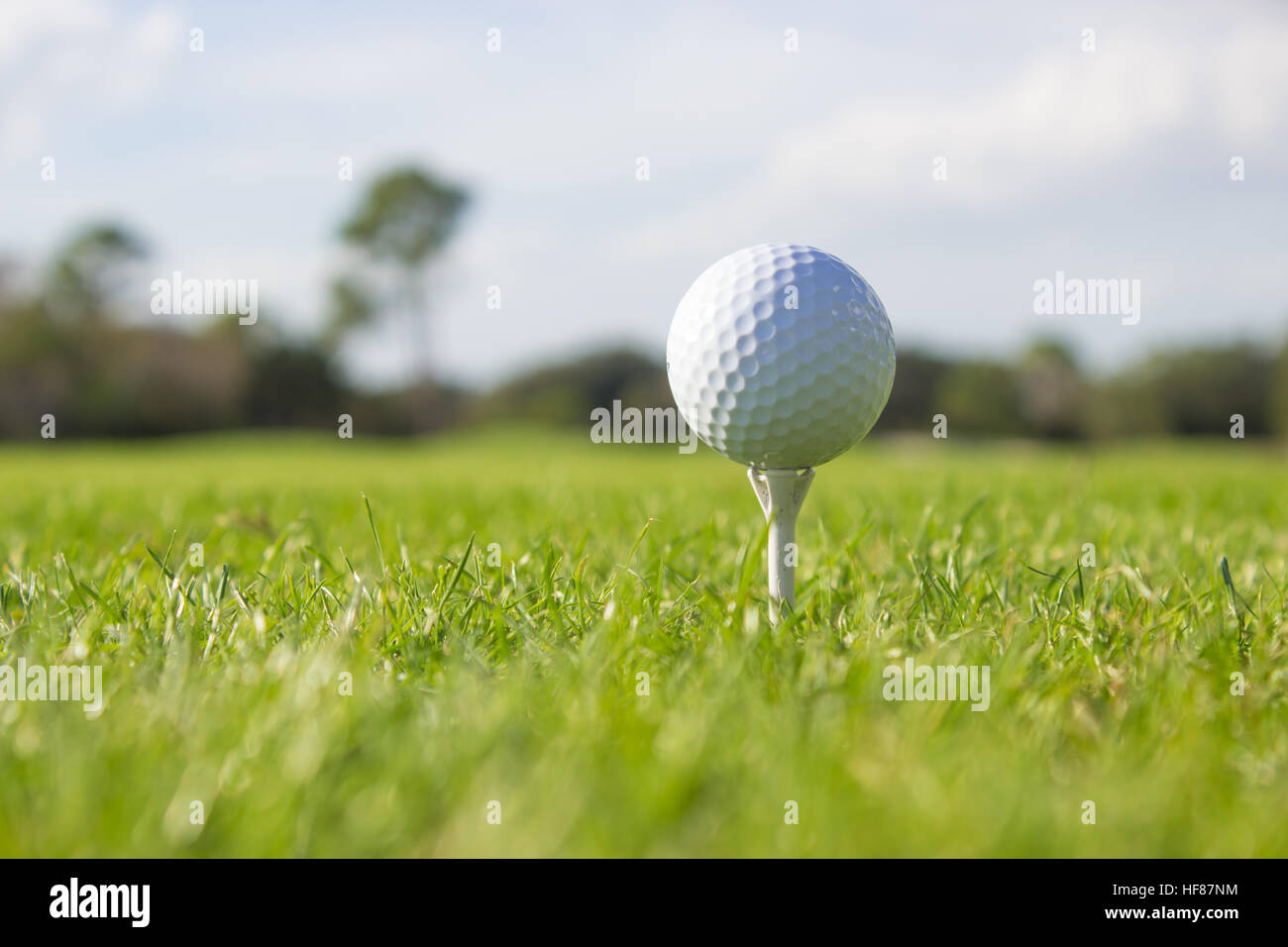 White Golf Ball on Tee Stock Photo