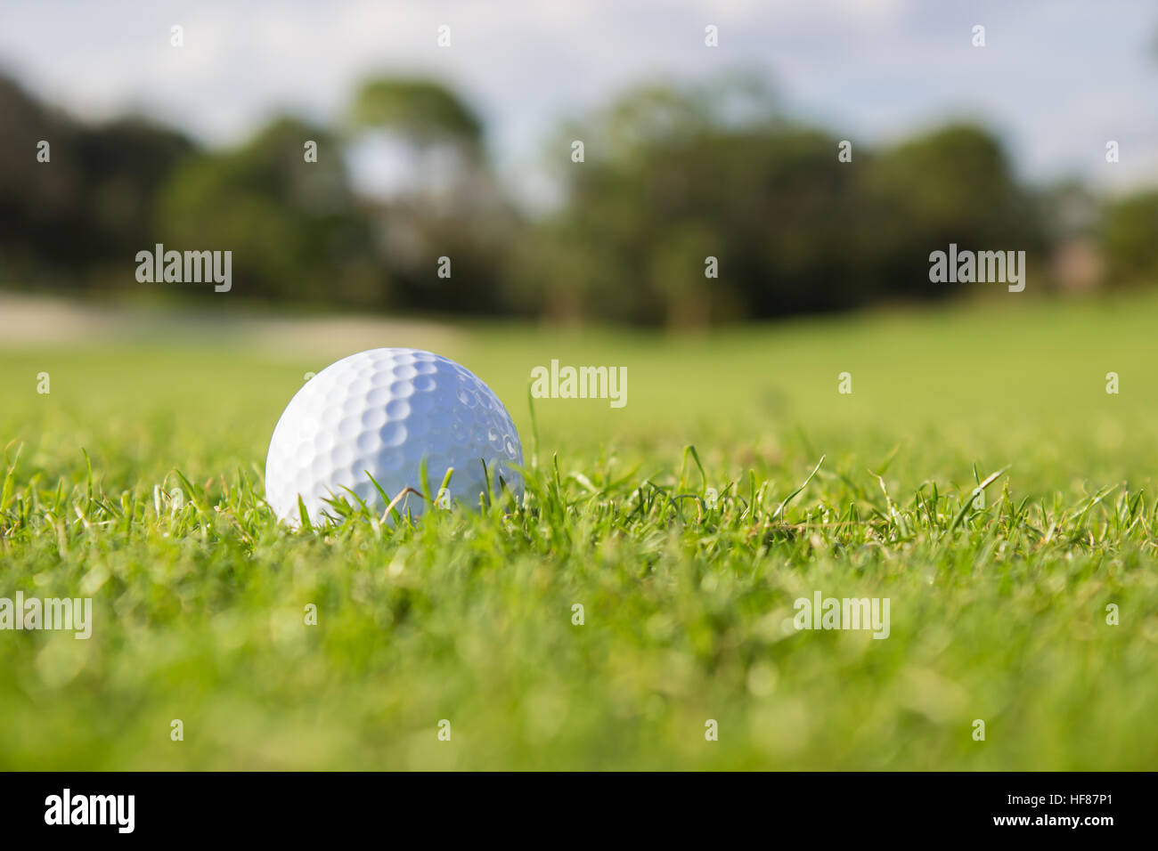 Golf Ball on Fairway Stock Photo Alamy