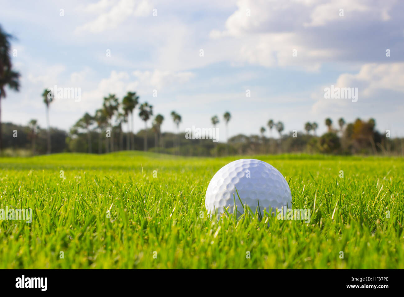 Golf Ball on Fairway Stock Photo Alamy