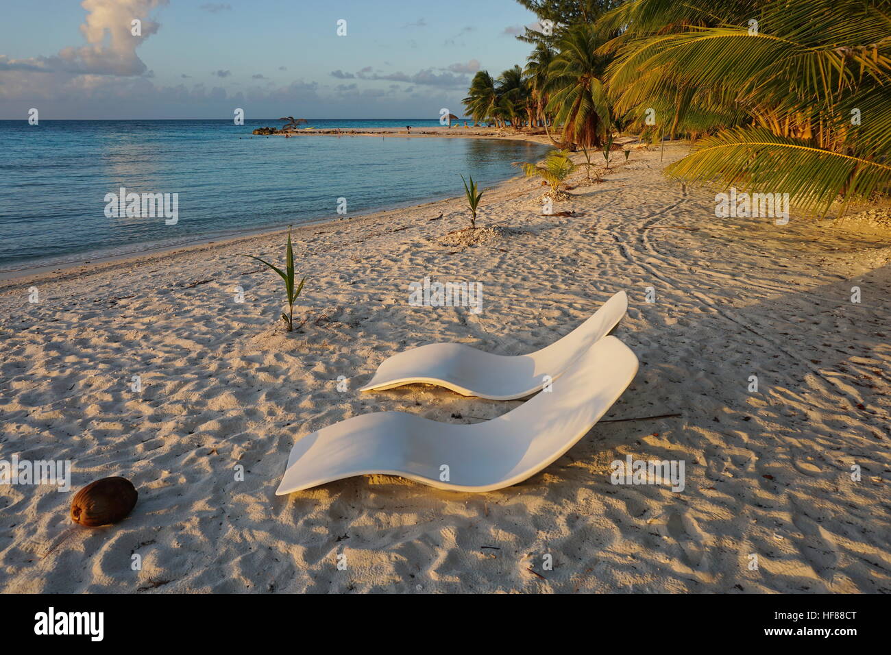 Two sunloungers on sandy tropical beach at dusk, atoll of Tikehau, Tuamotu archipelago, French Polynesia, Pacific ocean Stock Photo