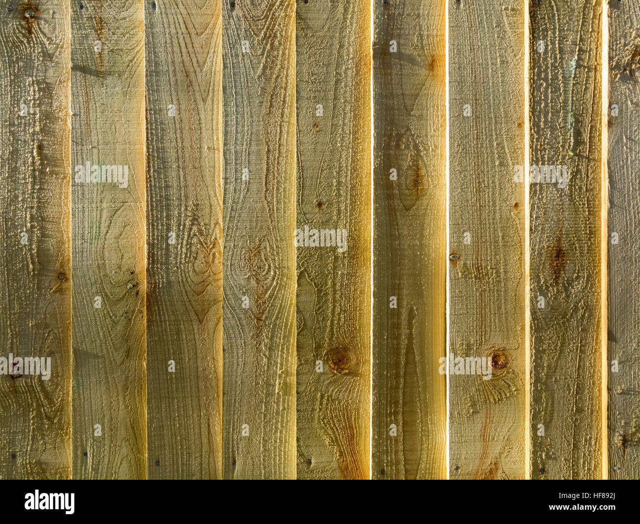 Nine vertical plain wood fence panels with strong side light and light shadows Stock Photo Alamy