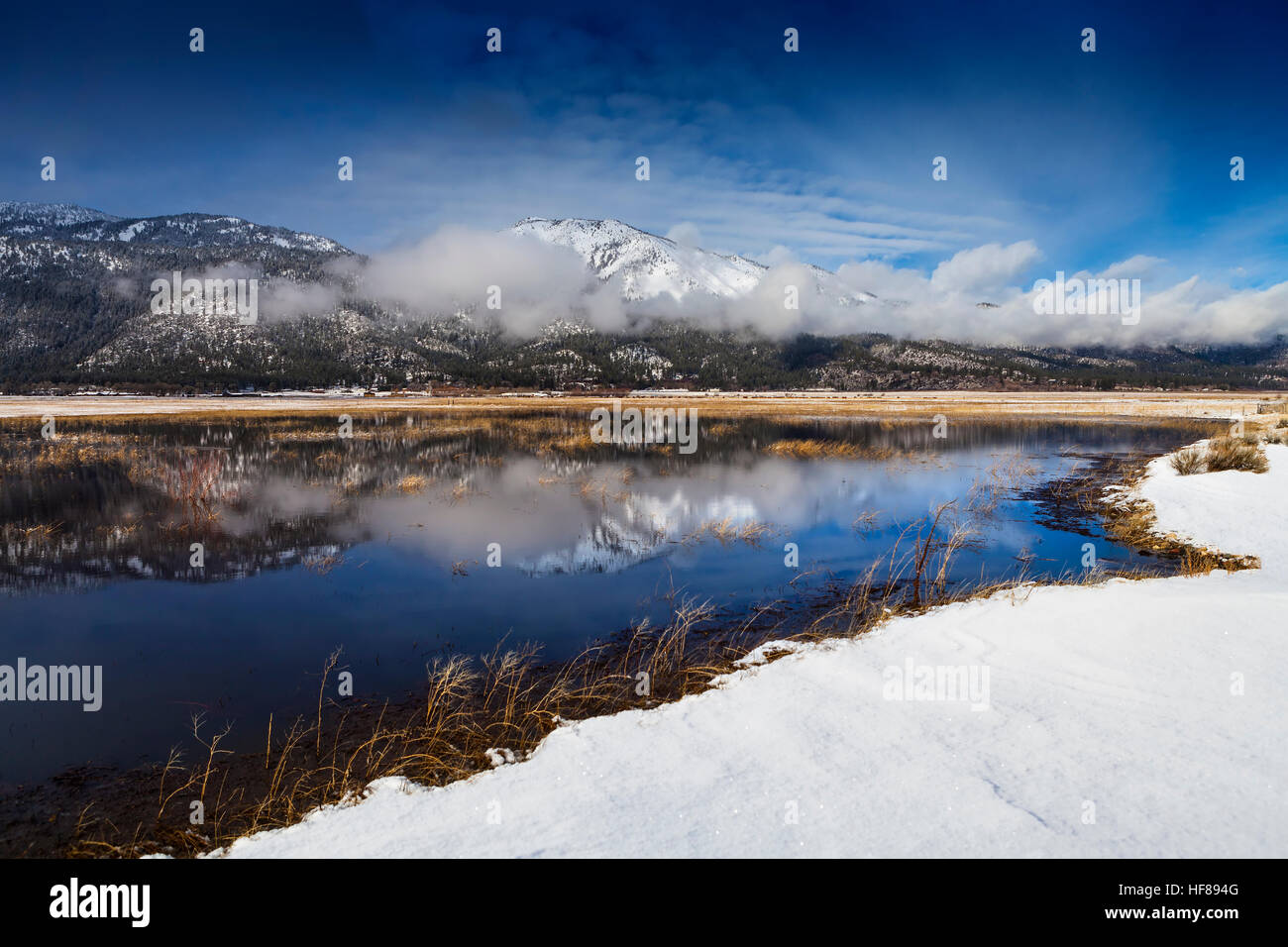Washoe Valley, Nevada. Pond reflection and slide mountain in winter with snow. Stock Photo