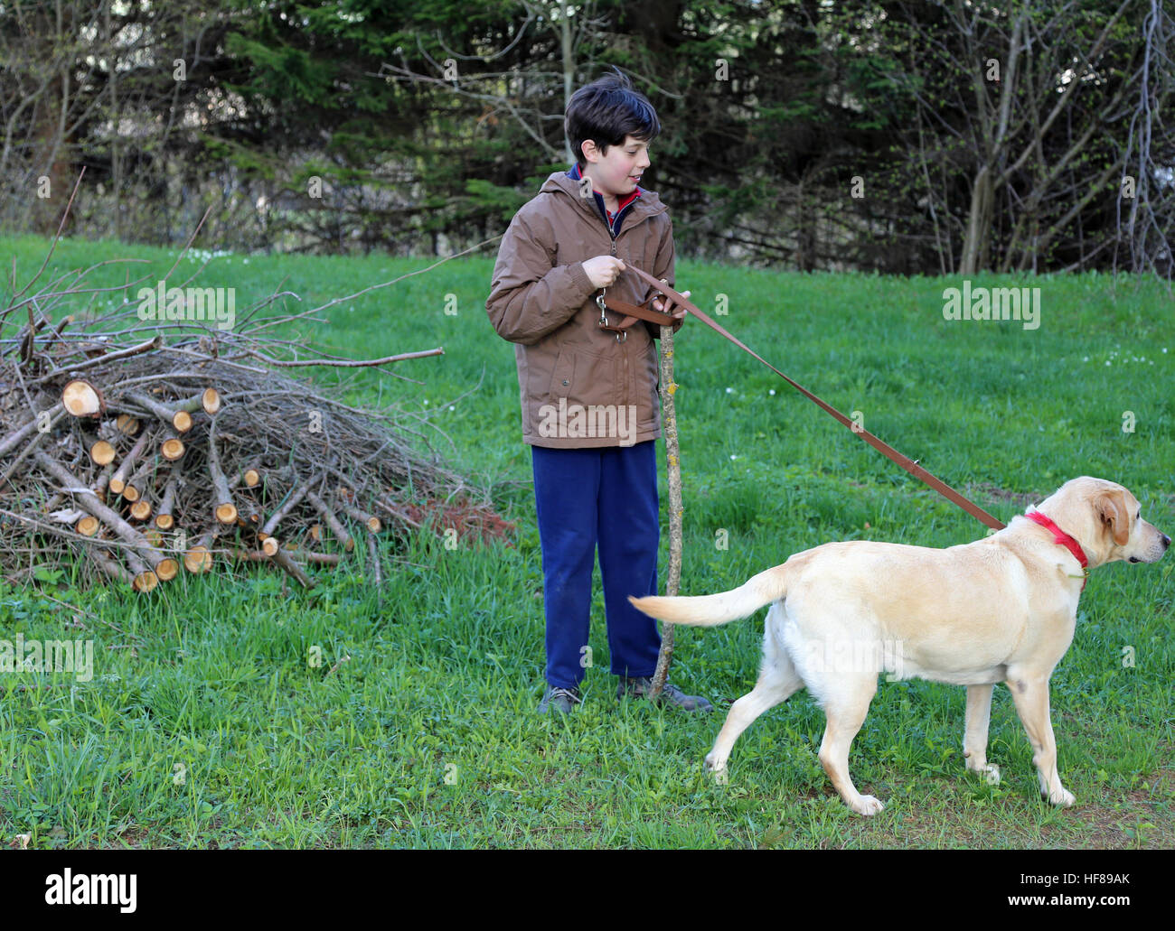 caucasian little boy with his dog on a leash Stock Photo