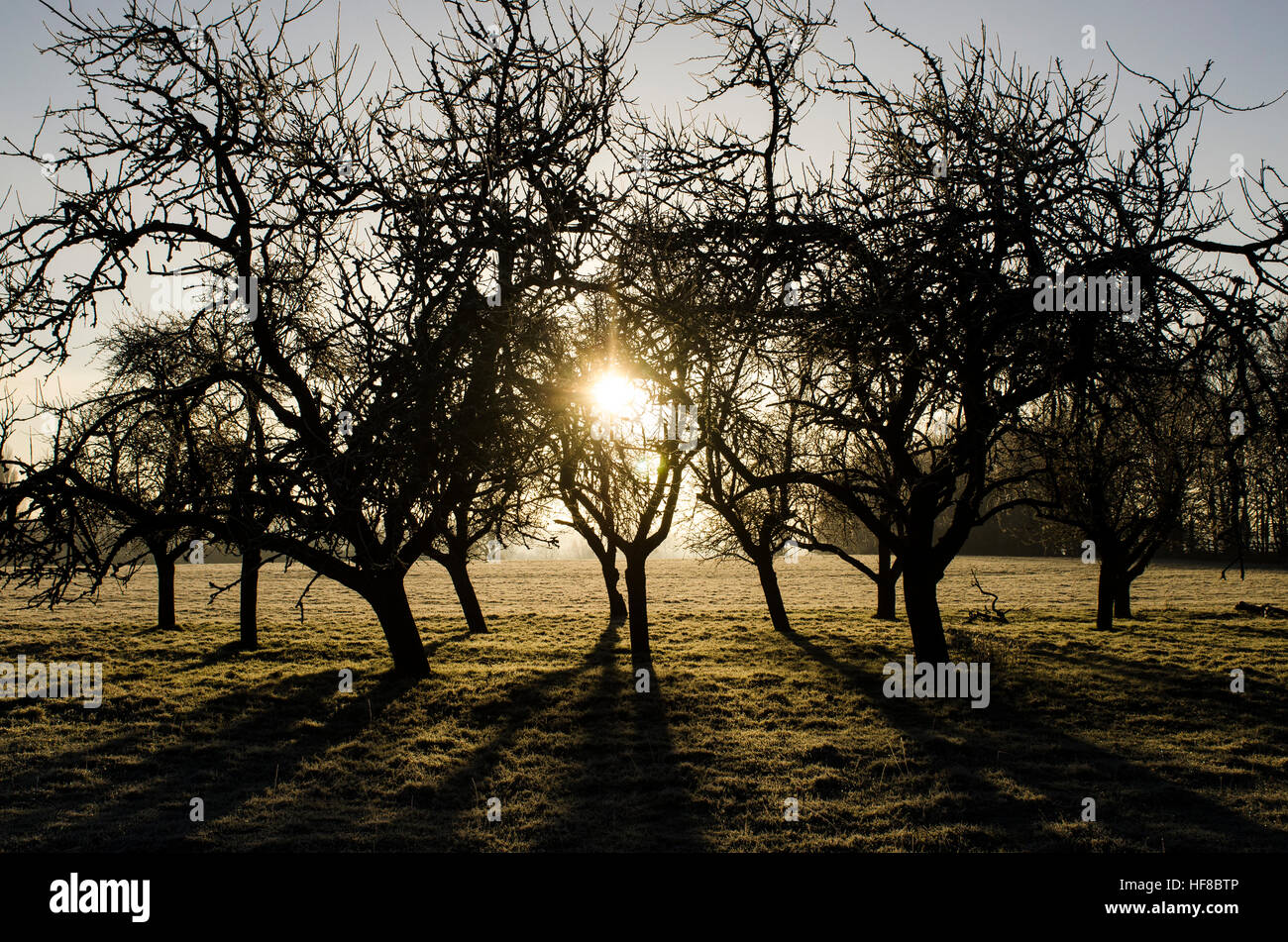 Milton Keynes, England, Uk. 28th Dec, 2016. Calverton, Milton Keynes