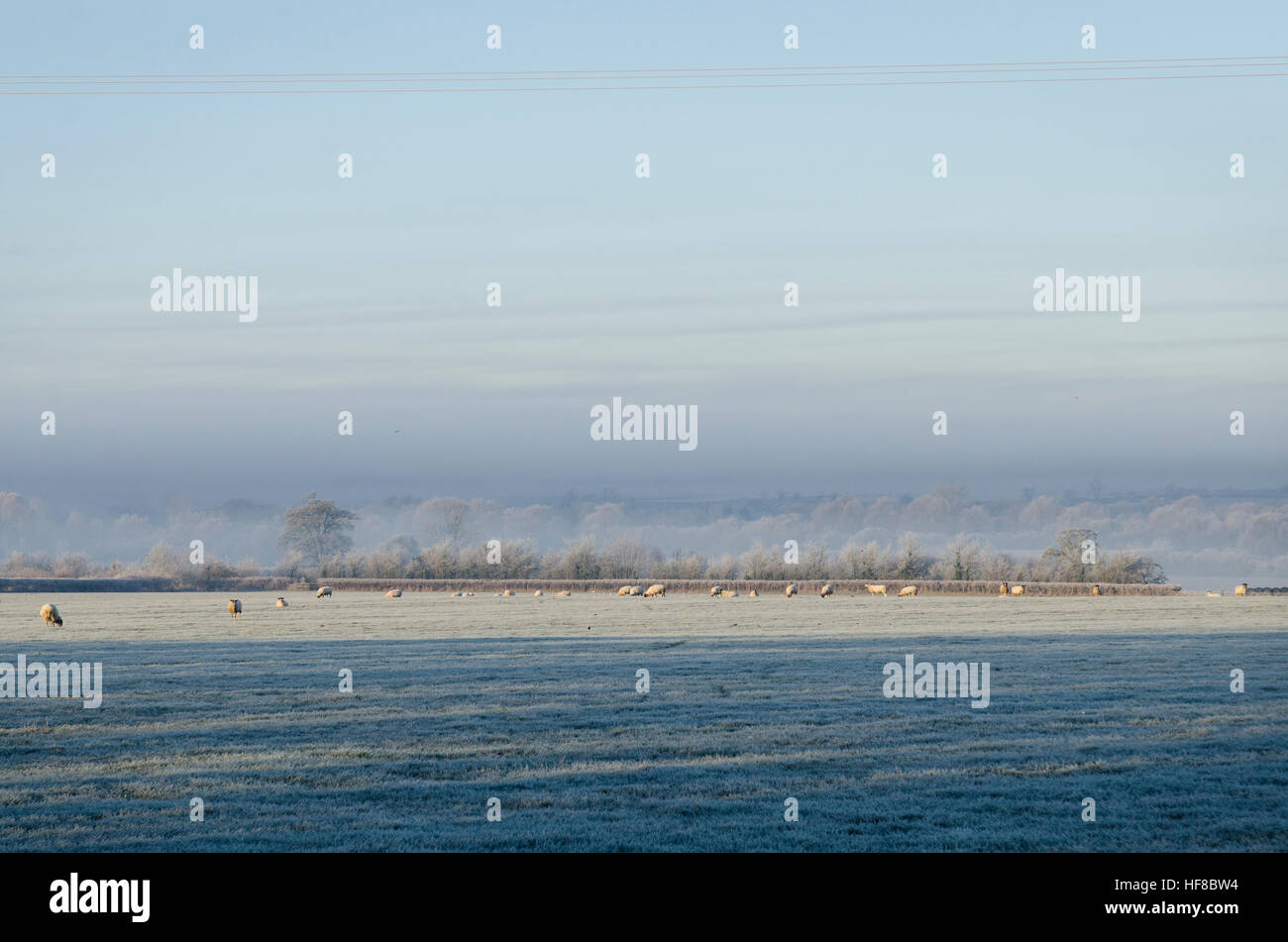 Milton Keynes, England, Uk. 28th Dec, 2016. Calverton, Milton Keynes