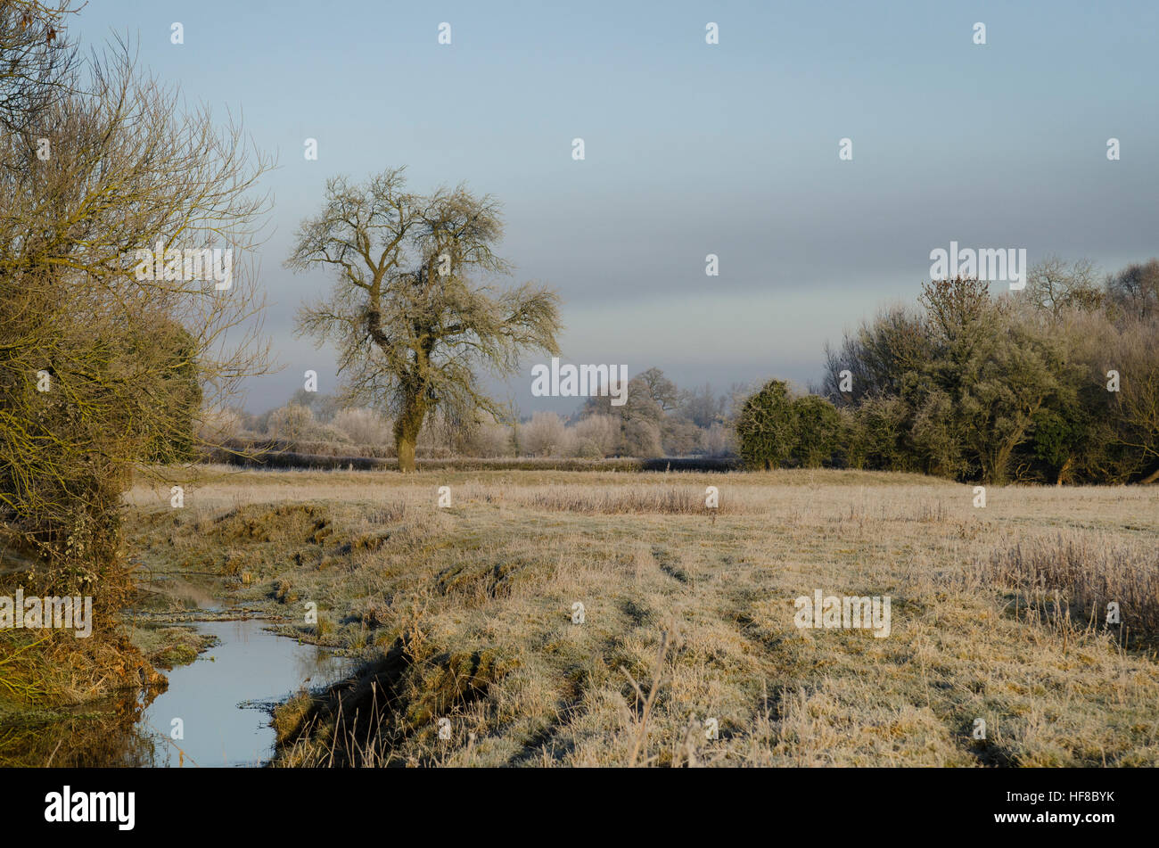 Calverton and village hires stock photography and images Alamy