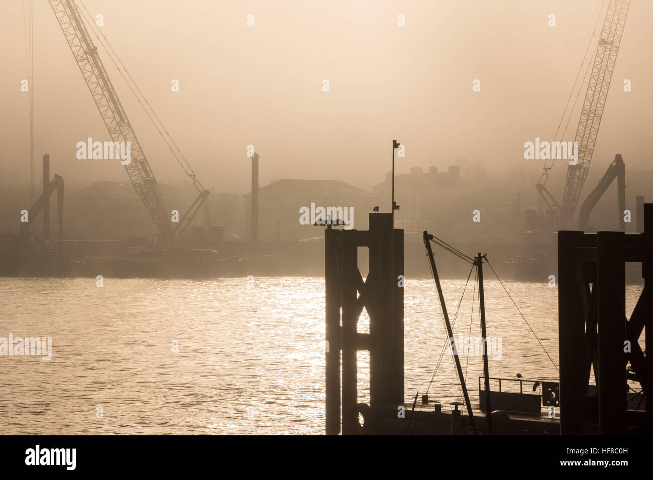 London, UK 28th December 2016. A cormorant raises its wings to bask as a foggy morning in London makes for magical light on the river Thames. © Patricia Phillips/ Alamy Live news Stock Photo