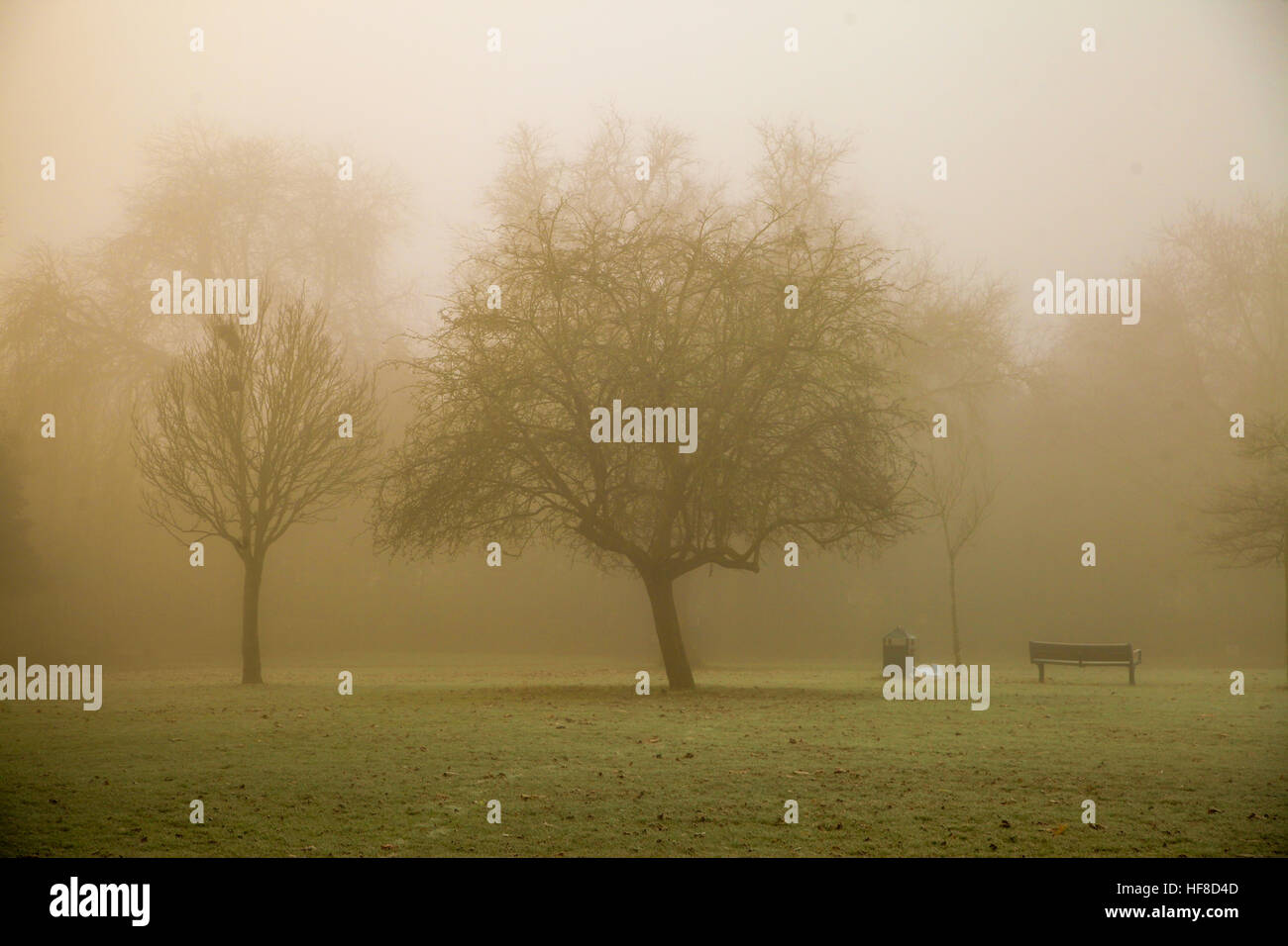Low reduced poor visibility hi-res stock photography and images - Alamy