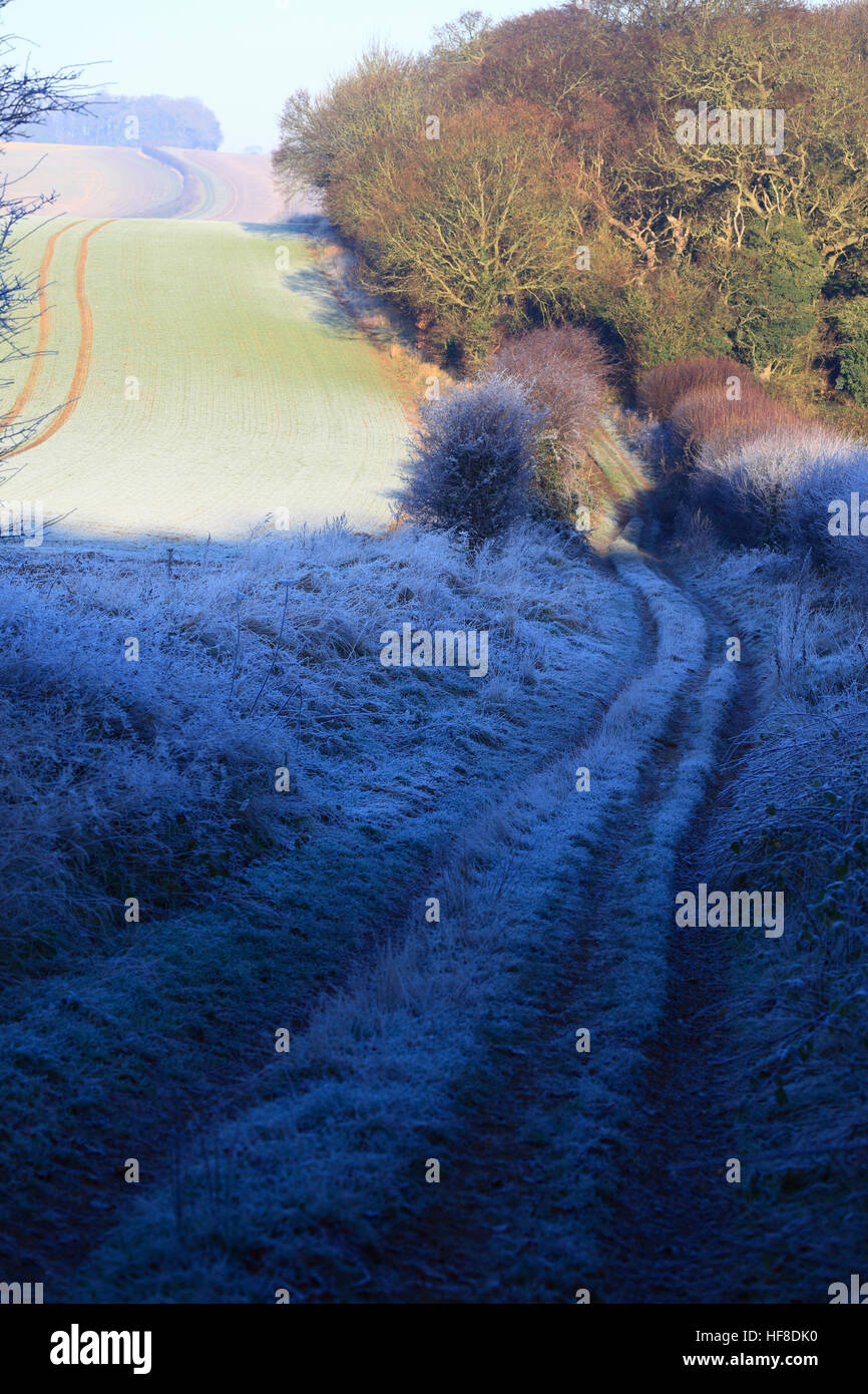 Fring, Norfolk, England, UK. 28th December 2016. A bright, frosty morning on the Peddar's Way at Fring in Norfolk. Credit: Stuart Aylmer/Alamy Live News Stock Photo