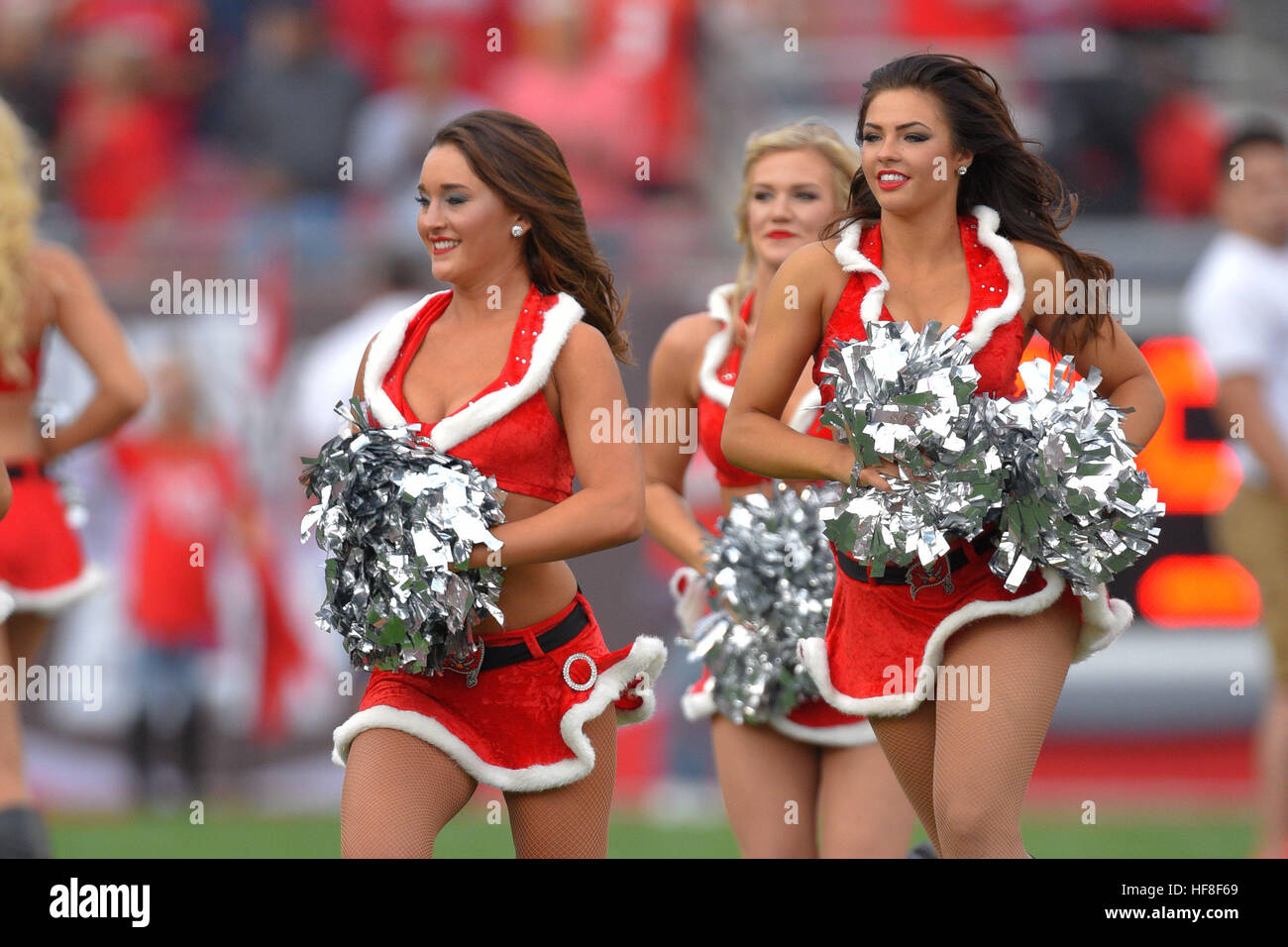 Tampa, Florida, USA. 11th Dec, 2016. Tampa Bay Buccaneers cheerleaders during their team's game against the New Orleans Saints at Raymond James Stadium in Tampa, Florida on Dec. 11, 2016.ZUMAPress/Scott A. Miller © Scott A. Miller/ZUMA Wire/Alamy Live News Stock Photo