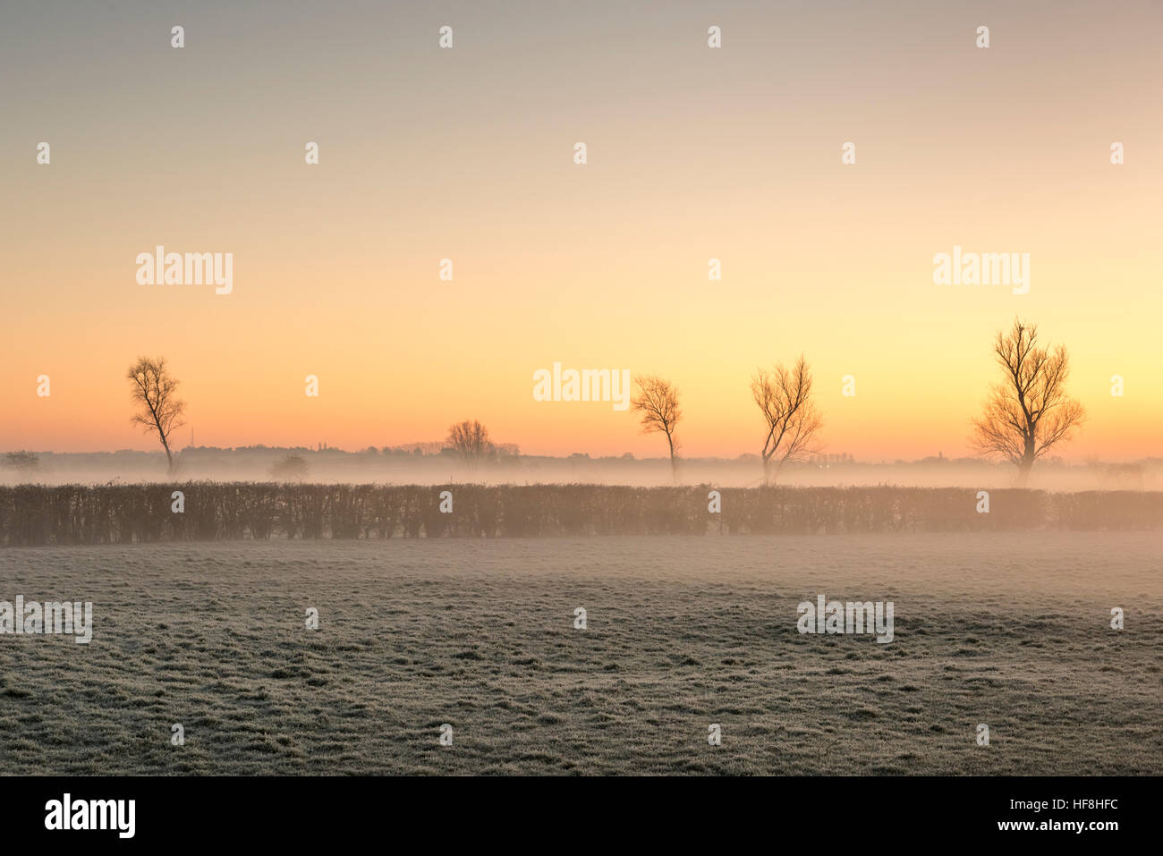 Willingham, Cambridgeshire, UK. 29th Dec, 2016. The sun rises on a frozen Fenland landscape over the Old West River. Temperatures dropped to around minus 4 degrees centigrade overnight with a widespread frost and patchy fog at dawn. © Julian Eales/Alamy Live News Stock Photo