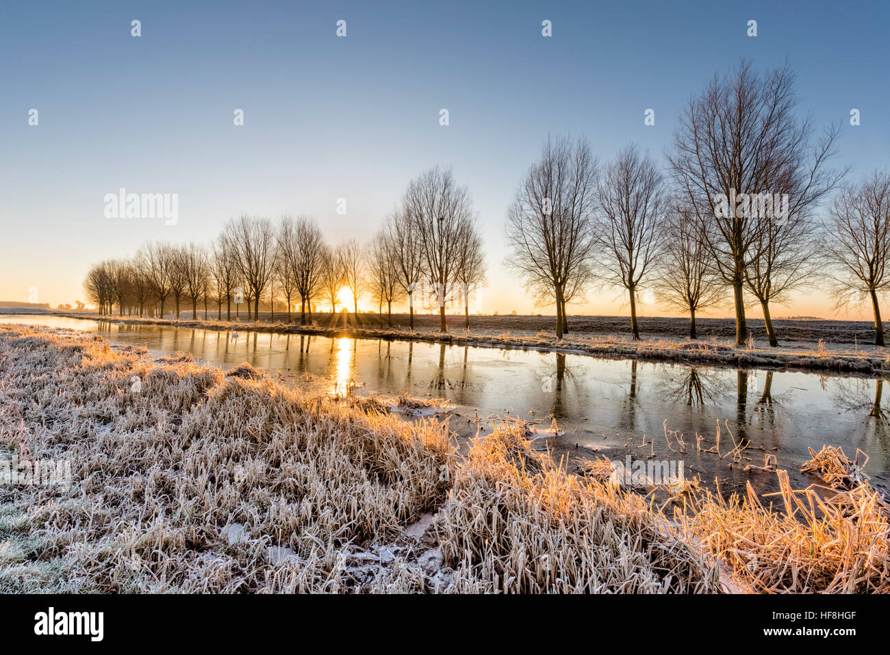 Mist over the fens hires stock photography and images Alamy