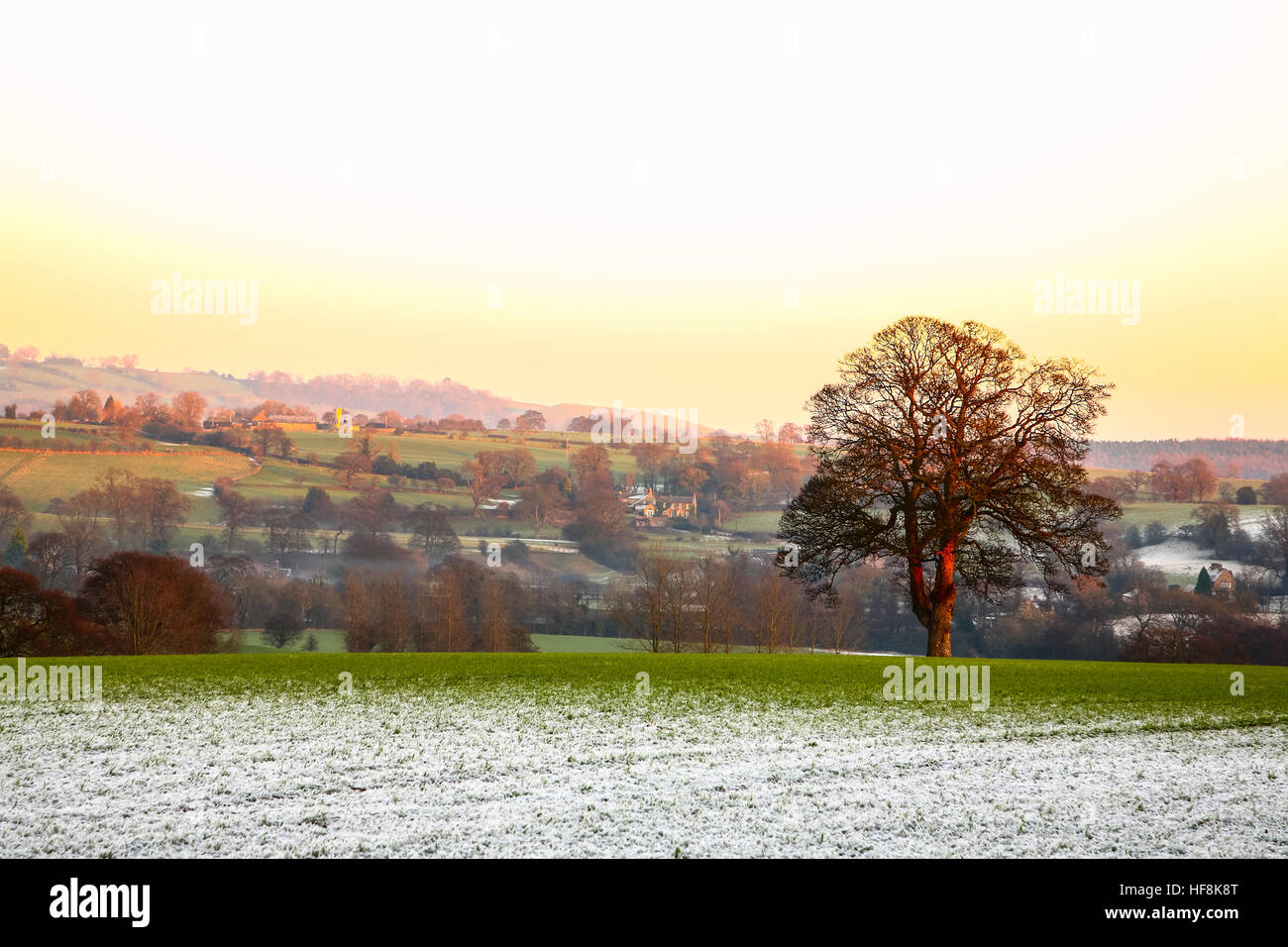 Wharfedale, UK. 29th Dec, 2016. With temperatures not rising much above