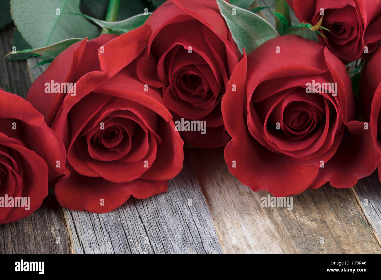 Close up of red roses on wooden table. Stock Photo