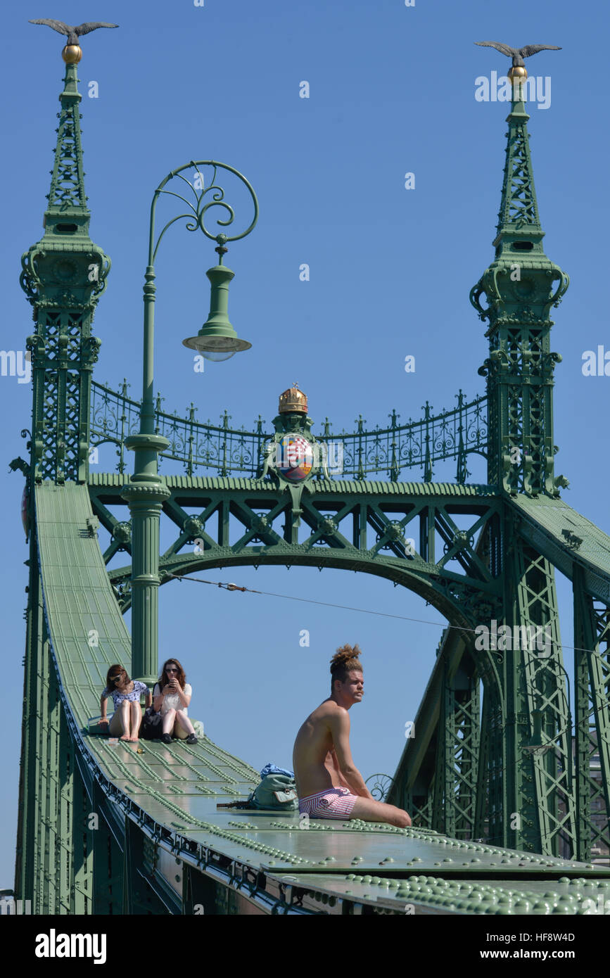 Freiheitsbruecke, Budapest, Ungarn, Freedom bridge, Hungarian Stock Photo