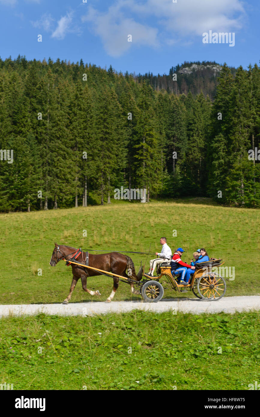 Pferdekutsche, Dolina Koscieliska, Hohe Tatra, Polen, Horse carriage, the high Tatra Mountains, Poles Stock Photo