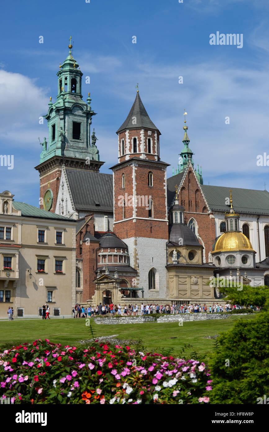Wawel-Kathedrale, Wawel, Krakau, Polen, Wawel cathedral, Cracow, Poland Stock Photo