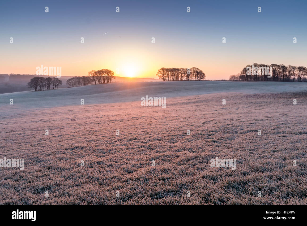 A Wintery scene at Temple Newsam Park, Leeds Stock Photo Alamy