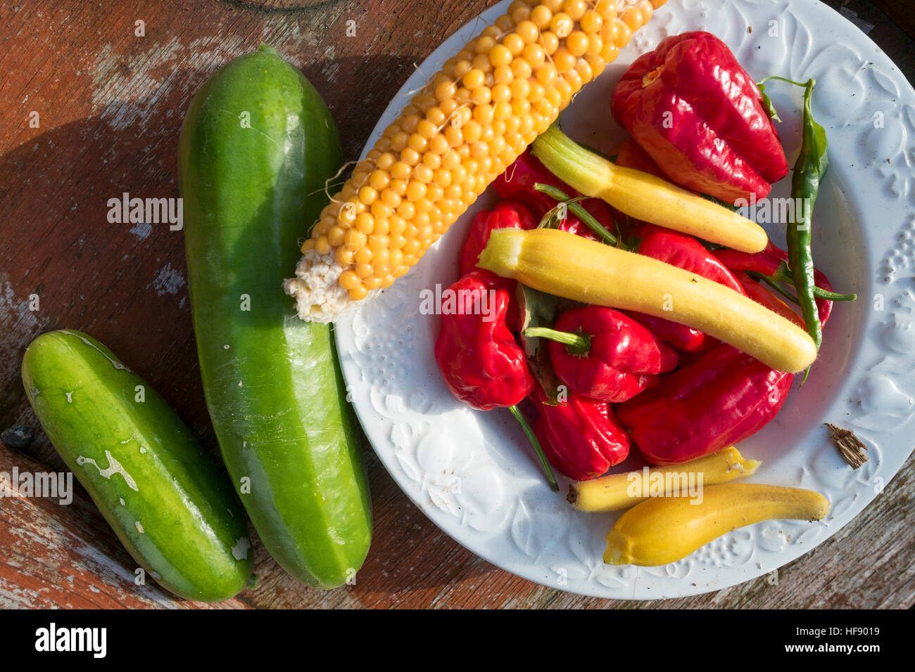 Fresh home grown vegetables (sweet corn, courgettes, red peppers, and small squashes) harvested and grown on an allotment garden UK Stock Photo