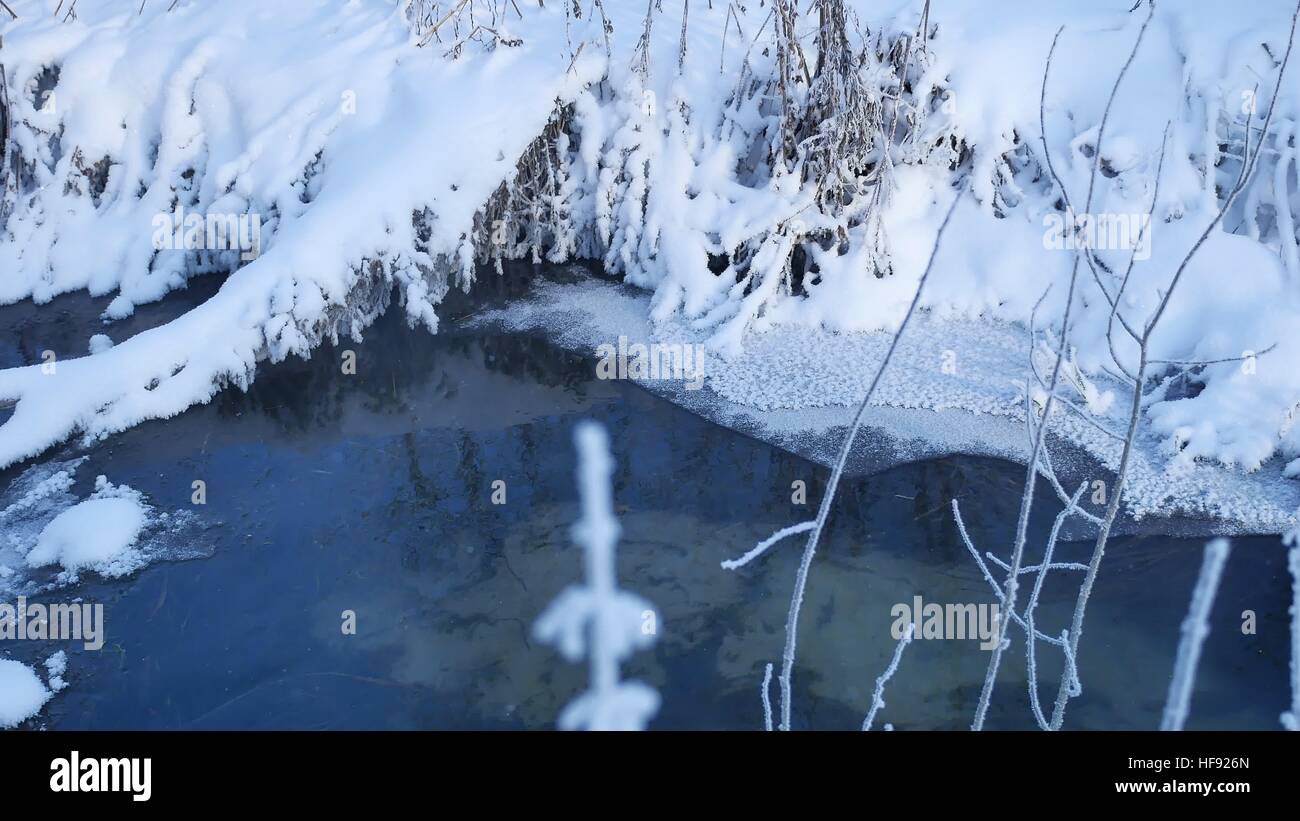 forest stream in winter snow grass nature and tree beautiful landscape