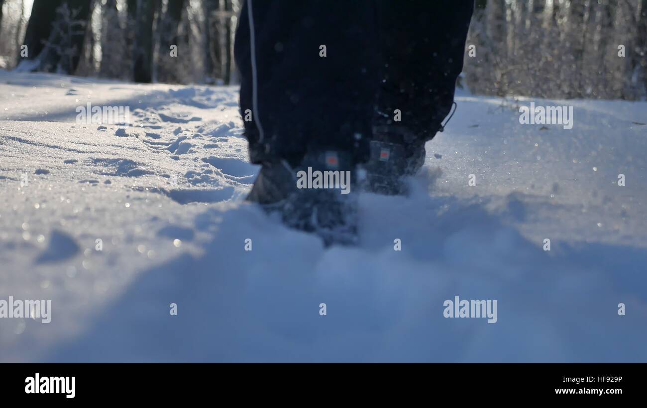 man walking in snow winter forest nature beautiful landscape Stock ...