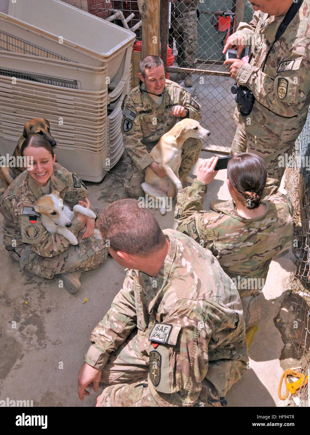 Camp Eggers volunteer community relations team members play with stray dogs at the PARSA social services compound in Kabul, Aug. 16. The visit was part of a volunteer mission to the co-located Afghan Scouts National Training Center, where volunteers delivered a truckload of donated flood relief supplies bound for the nearby Sarobi district. Recent flooding killed dozens and decimated communities in the mountainous district. The volunteers, representing civilians and service members from NATO Training Mission-Afghanistan/Combined Security Transition Command-Afghanistan are helping the Afghan Sc Stock Photo