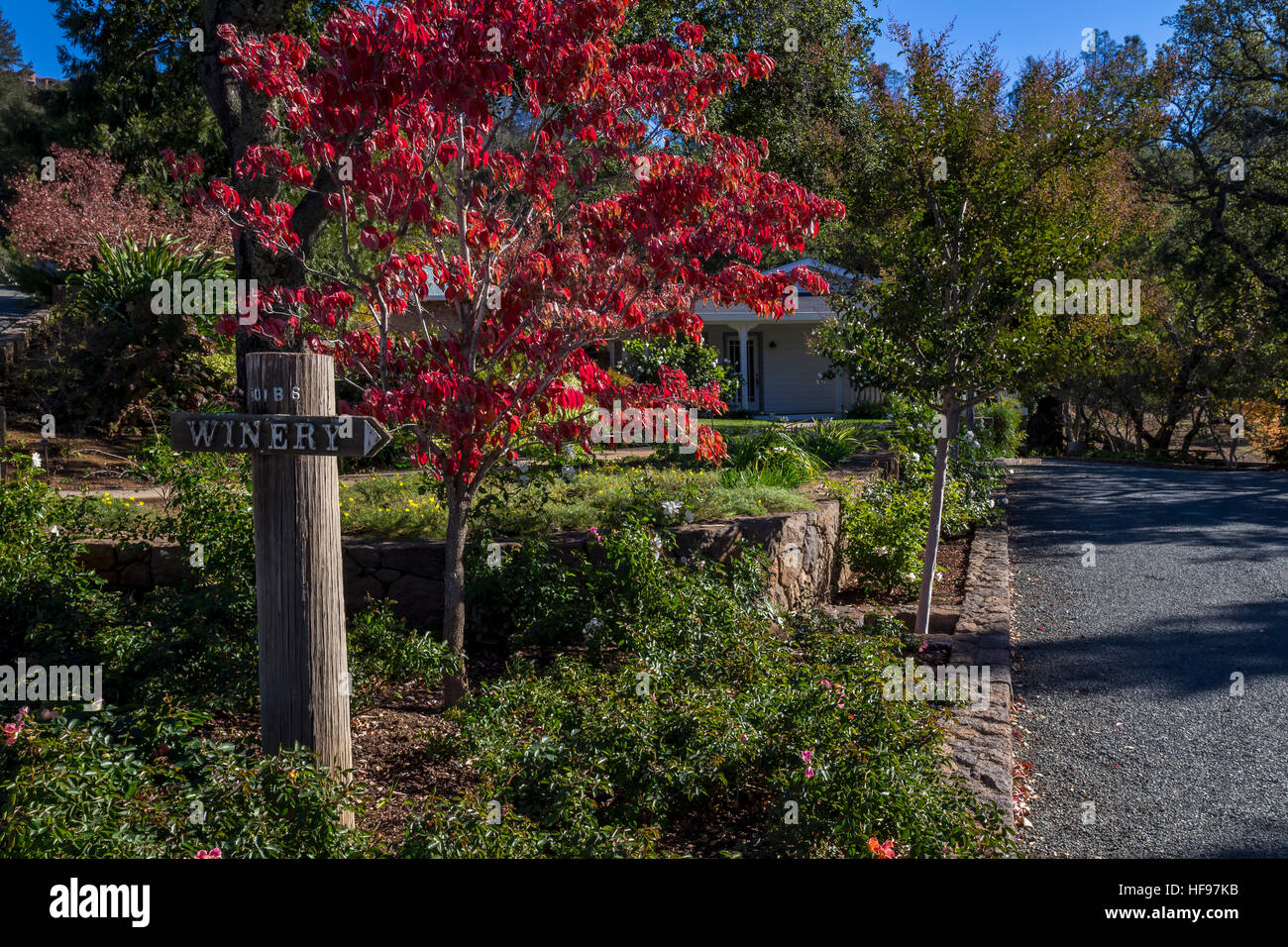 Bremer Family Winery, Saint Helena, Napa Valley, Napa County, California Stock Photo