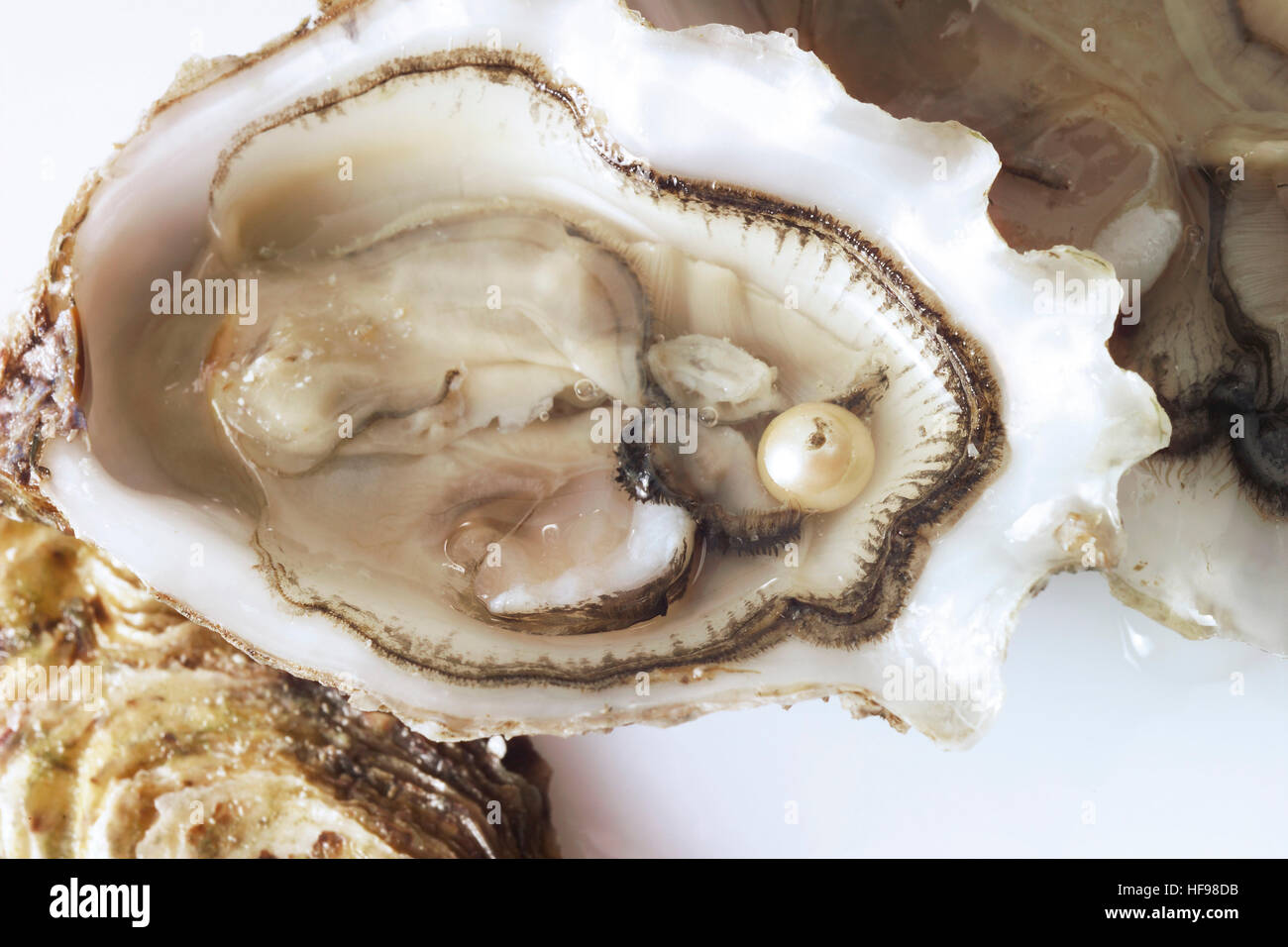 Halved fresh oyster with oyster pearl Stock Photo Alamy