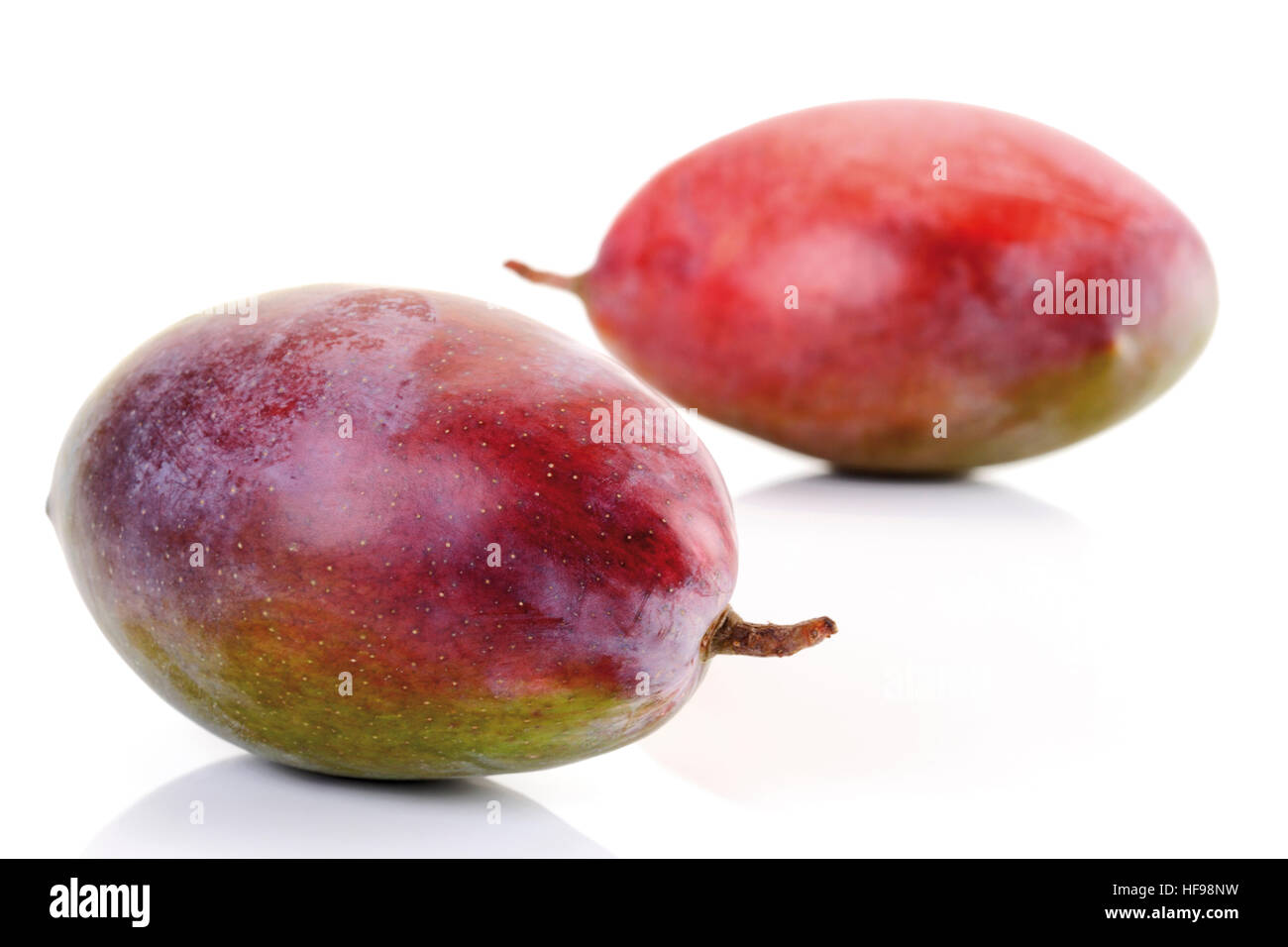 Fiberfree mangoes (Mangifera Stock Photo Alamy