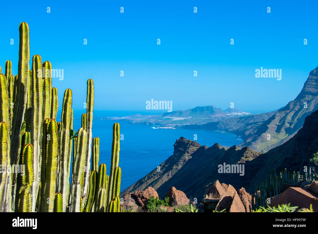coast with cactus at gran canaria, spain Stock Photo