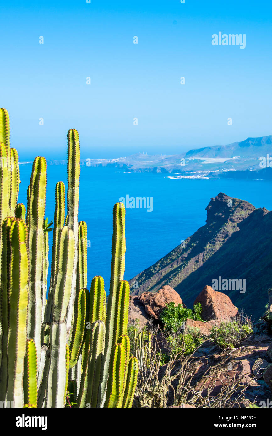 coast with cactus at gran canaria, spain Stock Photo