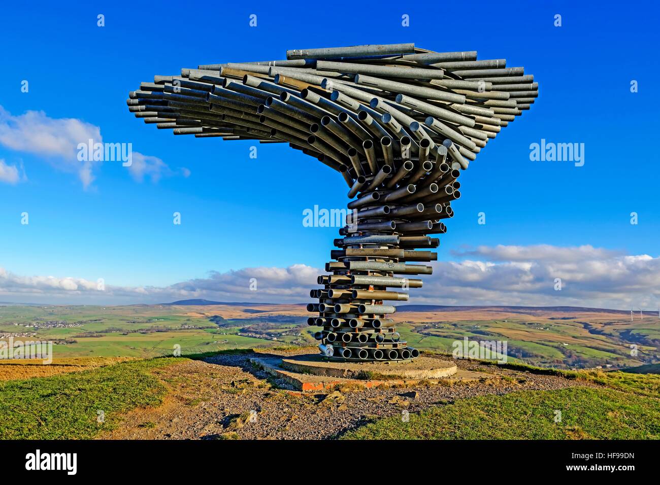 Ringing Singing Tree Stock Photo Alamy