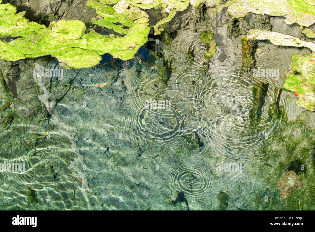 Rockpool Ripples Ripples on water on a natural pool Stock Photo - Alamy