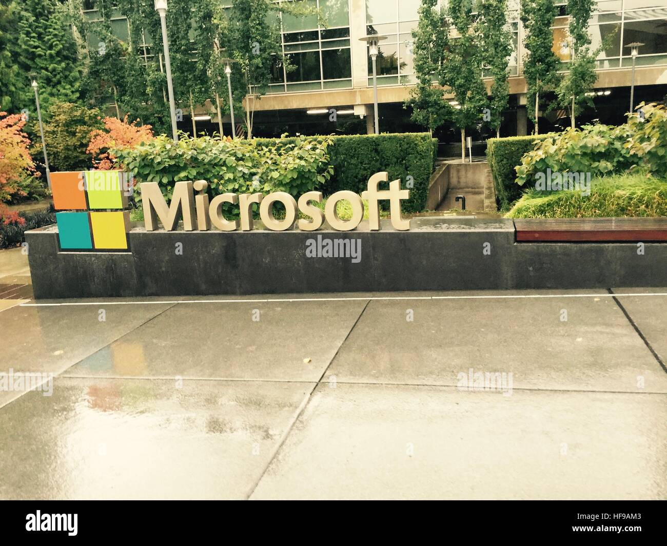 Microsoft campus, Redmond, Seattle - Washington, Usa Stock Photo
