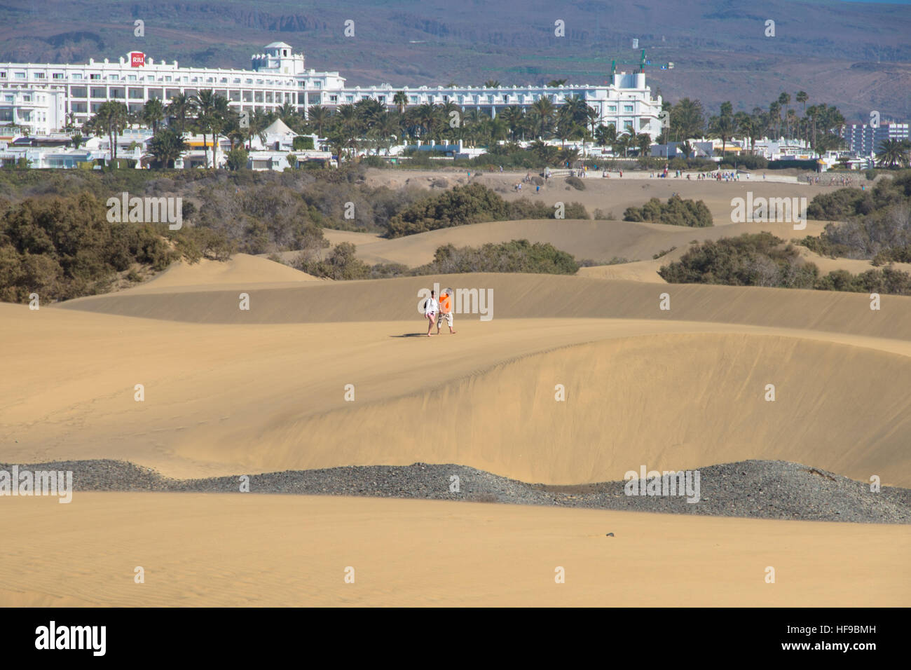 sand dunes at maspalomas at gran canaria in spain Stock Photo Alamy