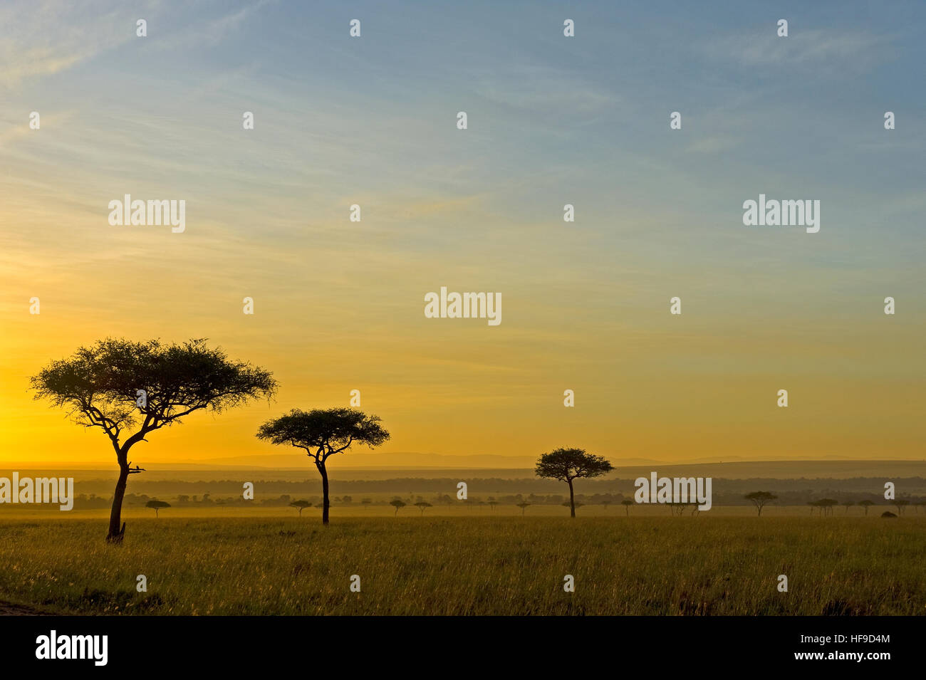 Maasai mara kenya landscape sunset hi-res stock photography and images ...