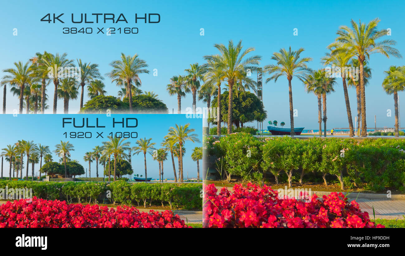 Compare video standards 3840x2160 4K Ultra HD vs Full HD 1920x1080 ...