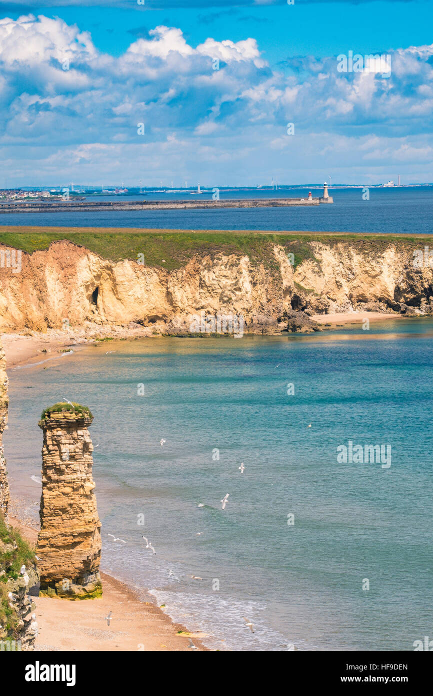 'Lot's wife' sea stack at Marsden Bay with the lighthouses of Tynemouth in the distance. Stock Photo