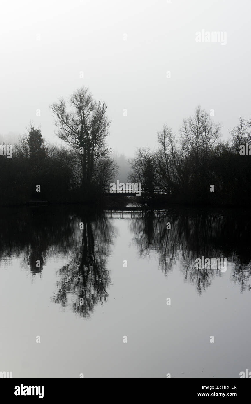 Contre Jour image of footbridge and trees reflected in lake Milton Cambridge Cambridgeshire England 2016 Stock Photo