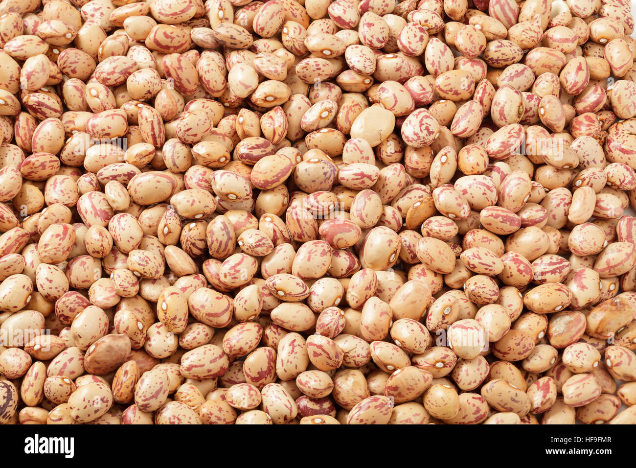 Pinto beans - dried Stock Photo