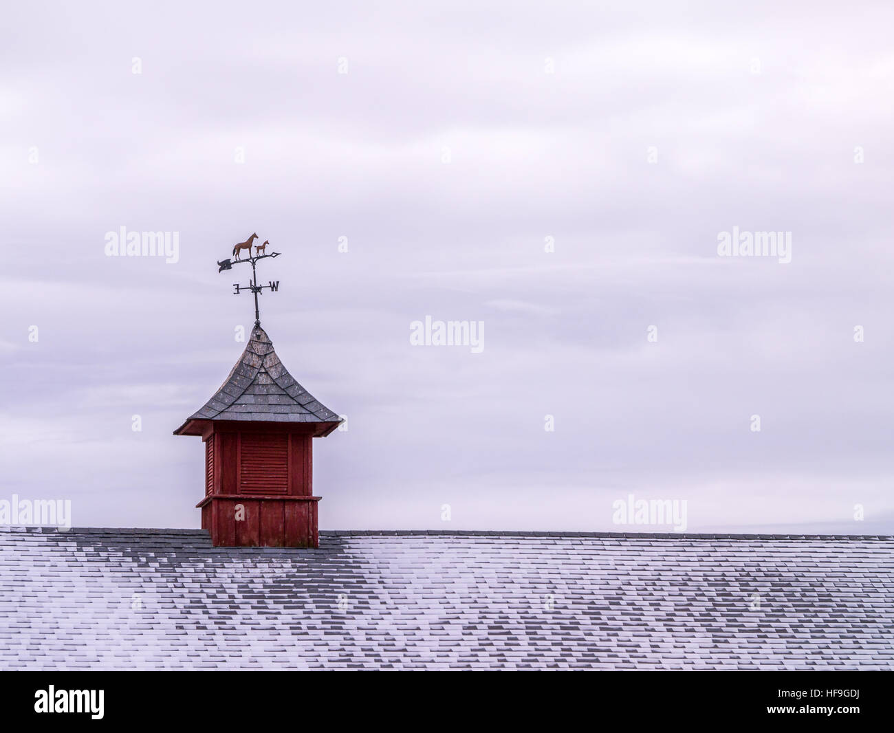 Metal weather vane with horses over snowy, shingles roof Stock Photo