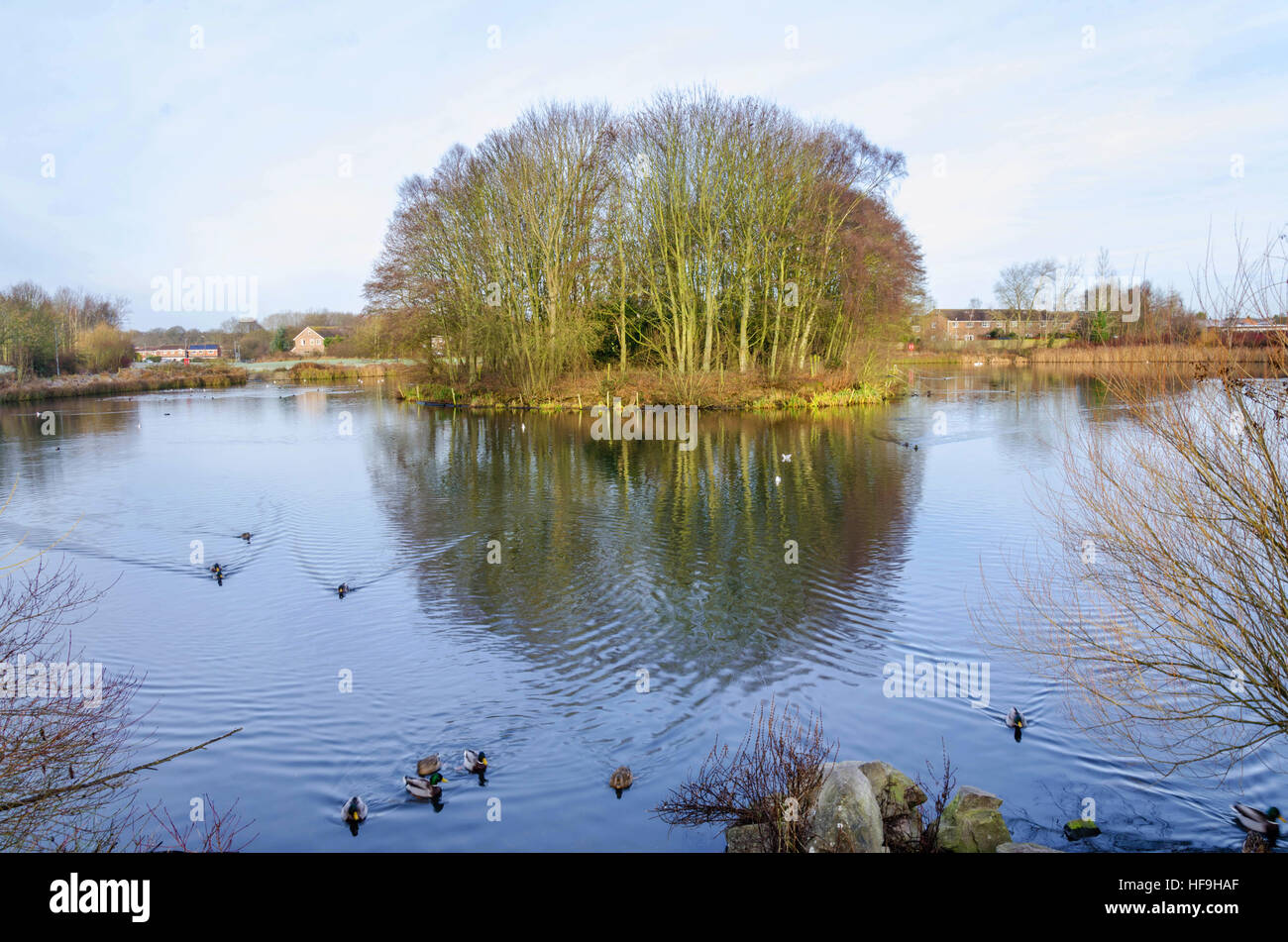 The upper lake at Perton, Wolverhampton, UK Stock Photo