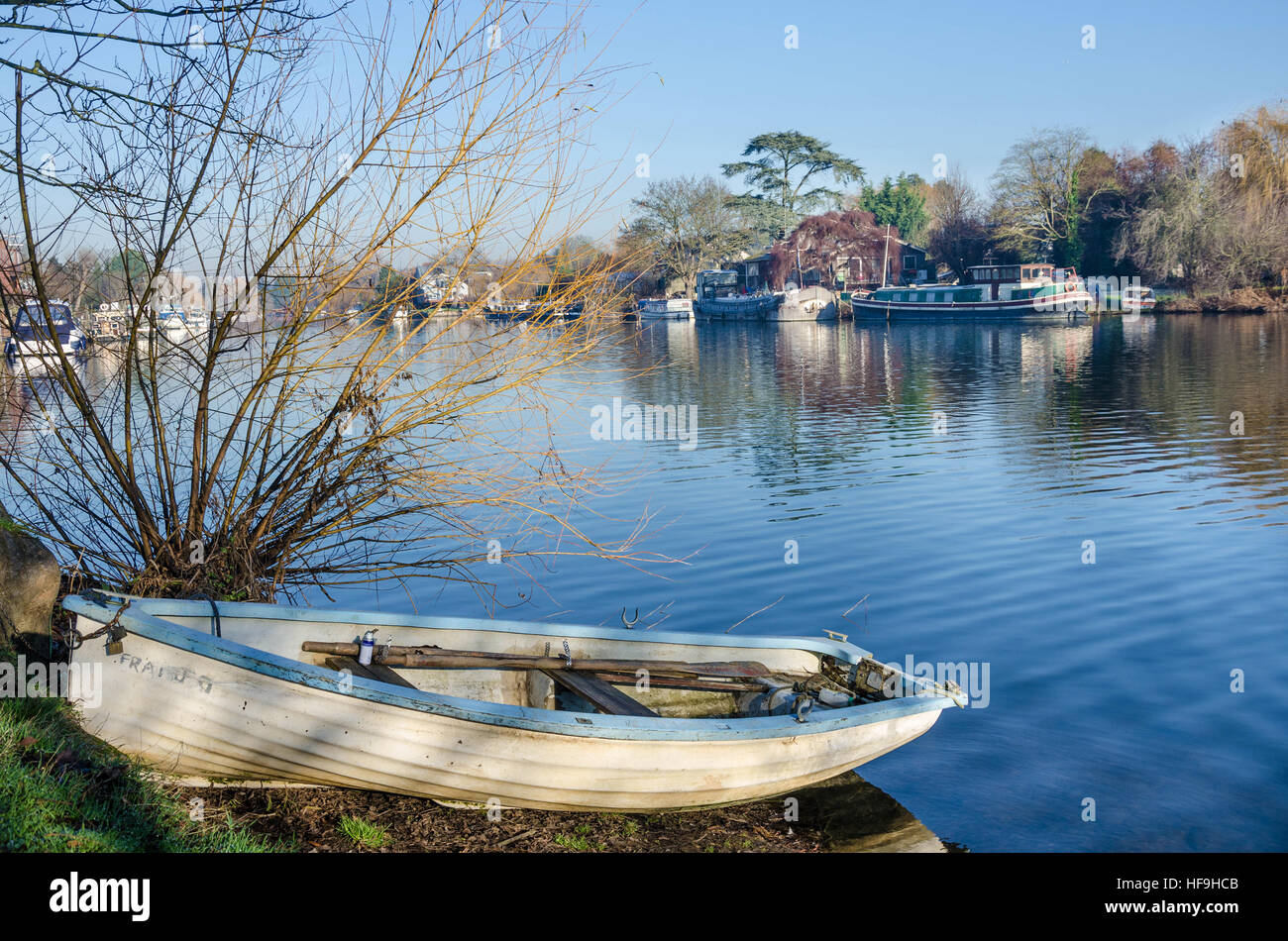 A rowing boat is chained up to a tree on the bank of The River Thames at Old Windsor in Berkshire, UK. Stock Photo