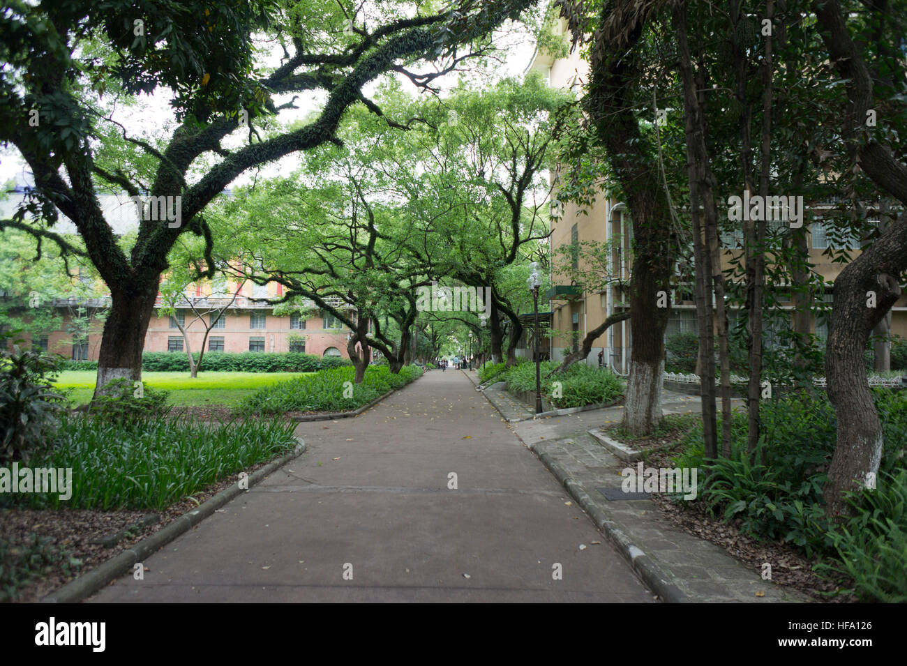 Sun Yat-sen (Zhongshan) university campus, Guangzhou, China Stock Photo